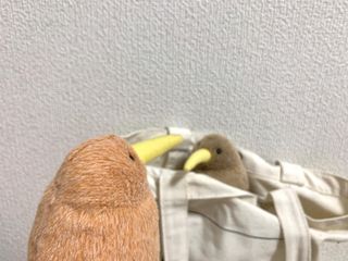 Photo by brunbjorn_kumakichi