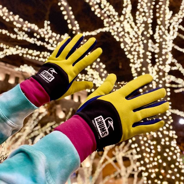 Polartec Power Stretch Glove/ポーラテックパワーストレッチグローブ