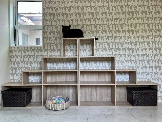 キャットウォーク付き壁面収納 シェルフ 木製[幅97.5?123.5] | 【公式】LOWYA(ロウヤ) 家具・インテリアのオンライン通販
