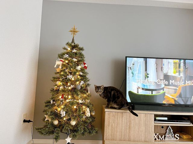150cm] クリスマスツリー 手作りオーナメントセット LEDライト付 