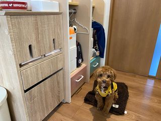 新しいコレクション ペット収納 犬用 幅40] キャスター付き 【公式 | スリムタイプ その他