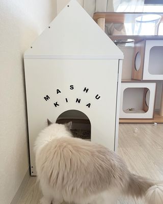 LOWNYA 収納付き猫トイレ 猫家具 | 【公式】LOWYA(ロウヤ) 家具