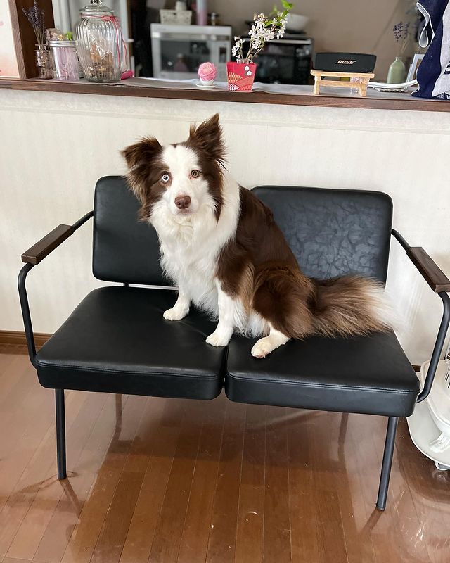 LOWYA ロウヤ　ソファ　2人掛け　インダストリアル　ヴィンテージ 2人掛けソファ ダイニングソファ インダストリアル調 ヴィンテージ調