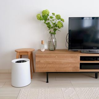 半完成品】49型対応のローテレビ台 スチール脚 | 【公式】LOWYA(ロウヤ