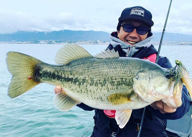 女の子向けプレゼント集結 アブガルシア Abu Garcia ベイトリール Revo Elite6 Ib L バス釣り その他リール Turnerconcierge Com