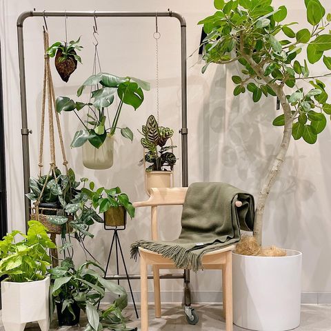 FARM | アスタハンギング （直径17.6cm） グレー｜【公式】ACTUS