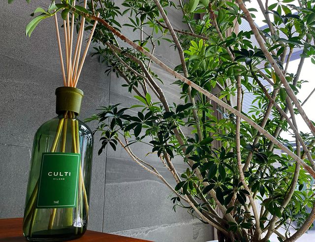 数量限定＞CULTI | THE 1000ml ディフューザー STILE / COLORS GREEN