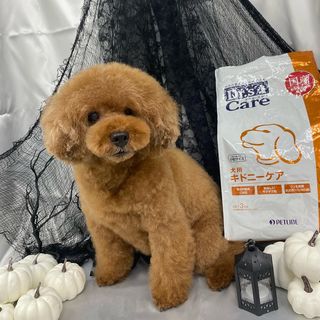 犬用尿石ケア 1kg 犬用製品一覧 どうぶつ病院宅配便 直販