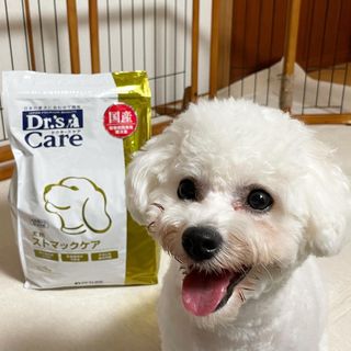 エッセンシャルズ ドクターズケア 尿石ケア 犬用 3キロ 50 Off Www Petrodice Com