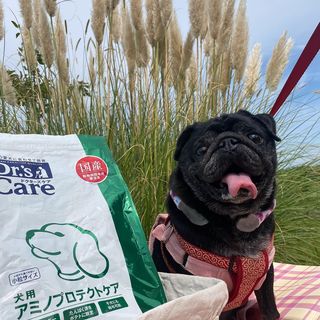 犬用パピー 1kg 犬用製品一覧 どうぶつ病院宅配便 直販