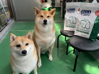 犬用尿石ケア 1kg 犬用製品一覧 どうぶつ病院宅配便 直販