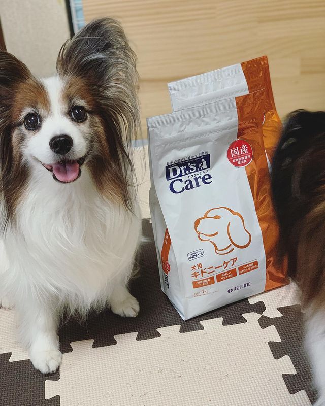 ドクターズケア犬用 ストマックケア低脂肪 40g×10袋 - ペットフード