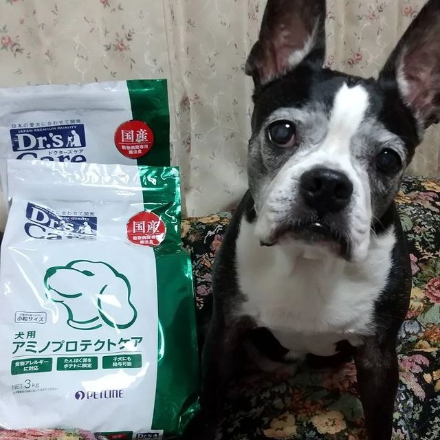 ドクターズダイエット 犬用パピー(1kg): 犬用製品一覧｜どうぶつ病院 