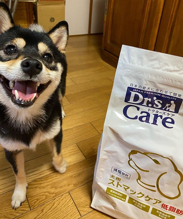 ドクターズケア 犬用ストマックケア(800g（400g×2）): 犬用製品一覧｜どうぶつ病院宅配便【直販】