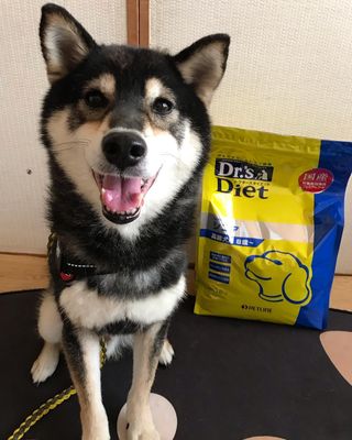 犬用尿石ケア 1kg 犬用製品一覧 どうぶつ病院宅配便 直販