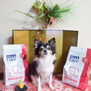 犬用アミノプロテクトケアえんどう豆 1kg 犬用製品一覧 どうぶつ病院宅配便 直販
