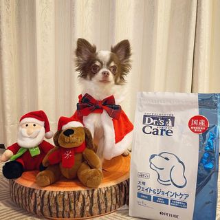 犬用キドニーケア 1kg 犬用製品一覧 どうぶつ病院宅配便 直販