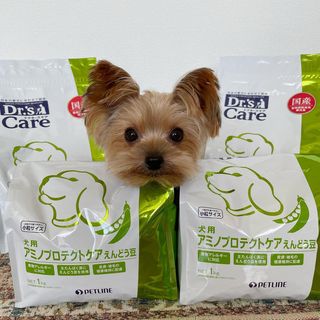 猫用キドニーケア フィッシュテイスト(480g（120g×4）): 猫用製品一覧 