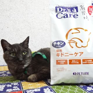 犬用ハートケア(1kg): 犬用製品一覧｜どうぶつ病院宅配便【直販】