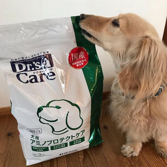 Dr's care 犬用ハートケア ～最終値引き～ 好評