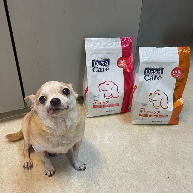 【得価】ドクターズケア　犬用　ハートケア　3kg × 2袋 ドッグフード