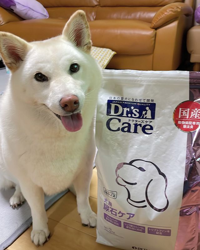 楽天スーパーセール ドクターズケア キャットフード Dr S Diet 猫 Phエイド 4kg マルチカラー Fucoa Cl