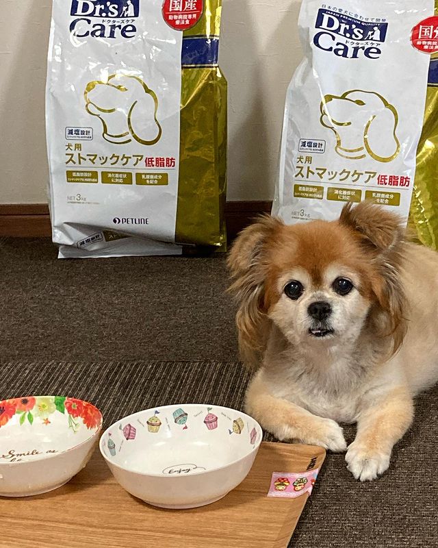 ドクターズケア 犬用ストマックケア(800g（400g×2）): 犬用製品一覧｜どうぶつ病院宅配便【直販】