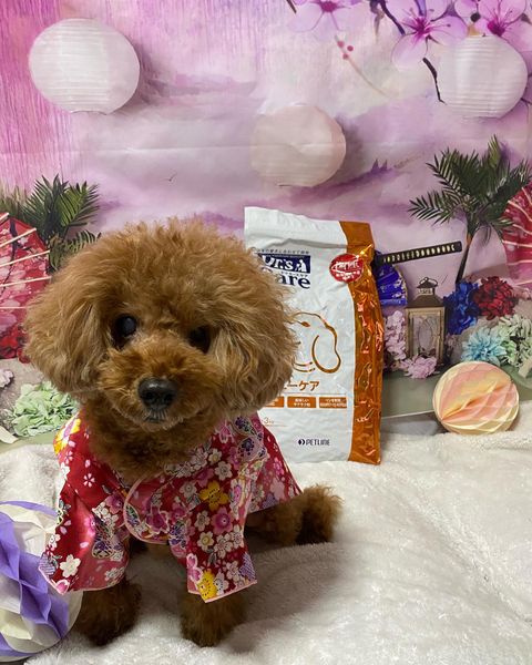 ドクターズケア 犬用アミノプロテクトケアえんどう豆(1kg): 犬用製品 