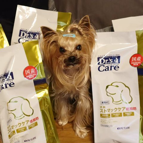 ドクターズケア 犬用アミノプロテクトケアえんどう豆(1kg): 犬用製品 