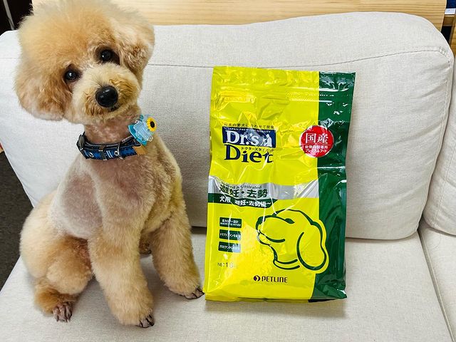 爆売りセール開催中 ドクターズケア犬用療法食キドニーケア3kg×２袋