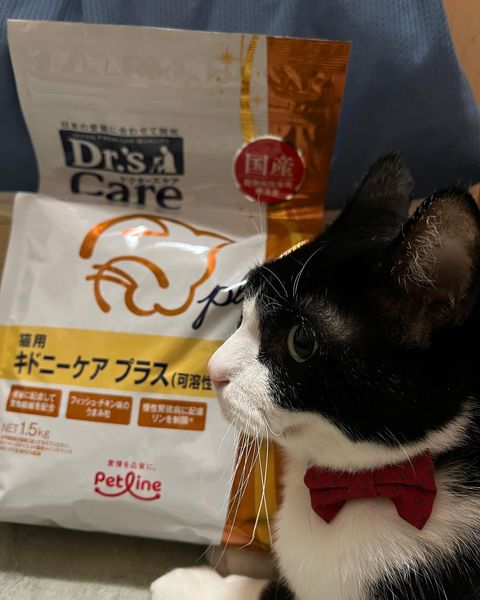 ドクターズケア 猫用尿石ケア(500g): 猫用製品一覧｜どうぶつ病院宅配 