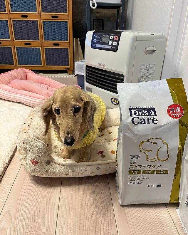 高い素材】 ドクターズケア 犬用 尿石ケア 小粒 3kg fisd.lk