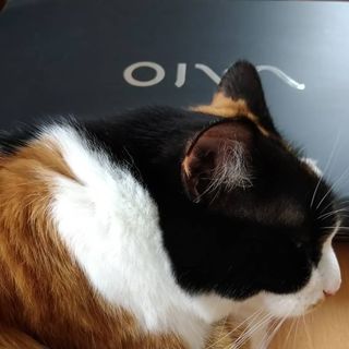 VAIO公式 オンラインストア|VAIO STORE