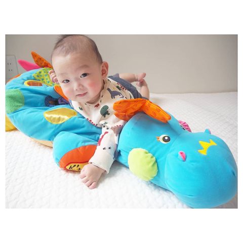 ボール ザウルス ボス ボス おもちゃ Dadway ダッドウェイオンラインショップ ボール ザウルス ボス ボス おもちゃ Dadway ダッドウェイオンラインショップ