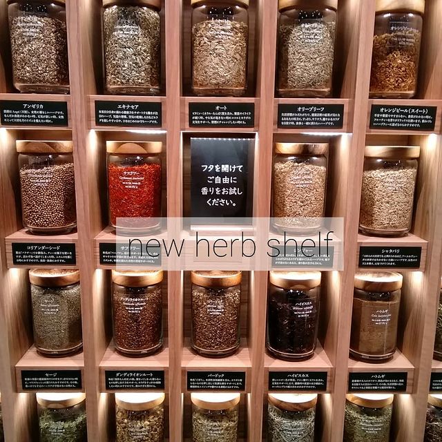 ハーブ専門店 Enherb 公式webサイト オリジナルハーブティーカップ Enherb ロゴ柄 270ml ハーブティー茶器 サントリーグループの ハーブ専門店 Enherb エンハーブ ハーブティー エッセンシャルオイル ハーブコスメ 株式会社コネクト