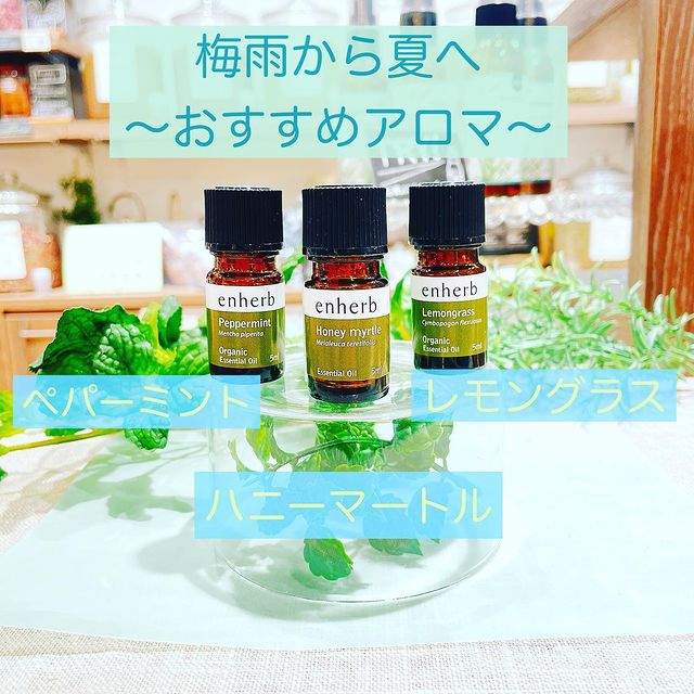 ハーブ専門店「enherb」公式WEBサイト ペパーミント ...