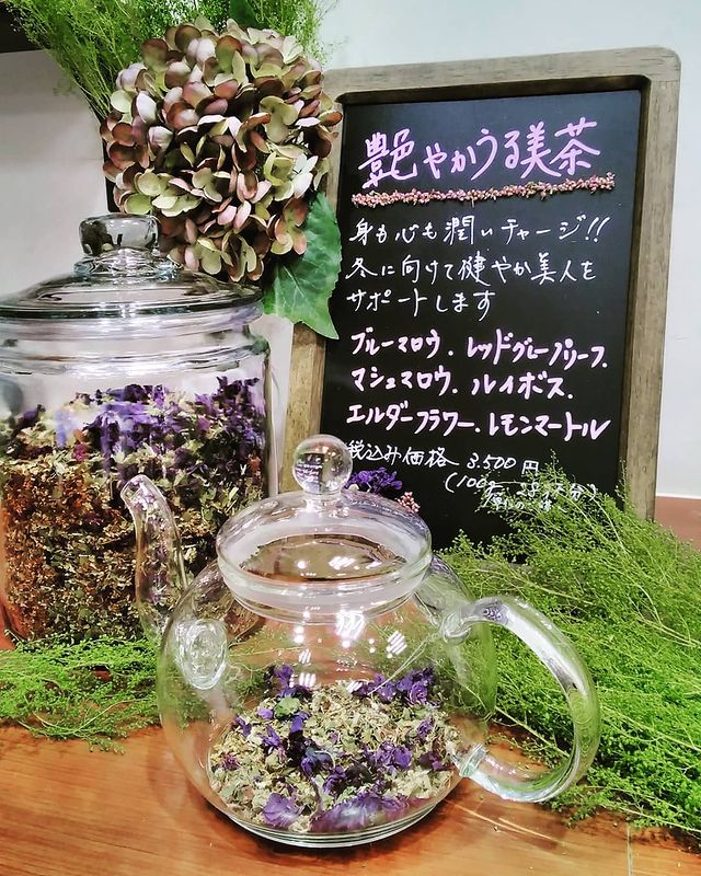 ハーブ専門店 Enherb 公式webサイト エルダーフラワー 茶葉 15g ハーブティー サントリーグループのハーブ専門店 Enherb エンハーブ ハーブティー エッセンシャルオイル ハーブコスメ 株式会社コネクト