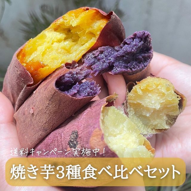 公式 蔵出し焼き芋かいつか