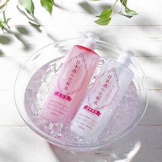 菊正宗 日本酒の化粧水 透明保湿 500ml 日本酒通販 公式 菊正宗 ネットショップ