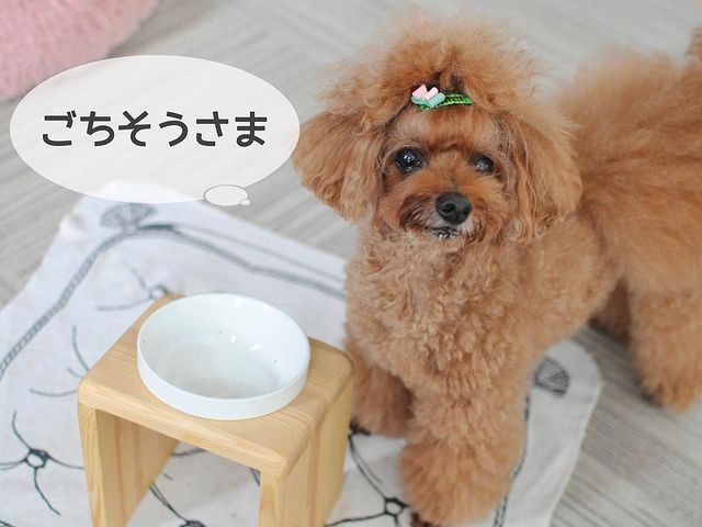 ケラチナミンｺｰﾜアロマハンドクリーム(ローズの香り): すべての商品｜KOWA（コーワ）ハピネスダイレクト