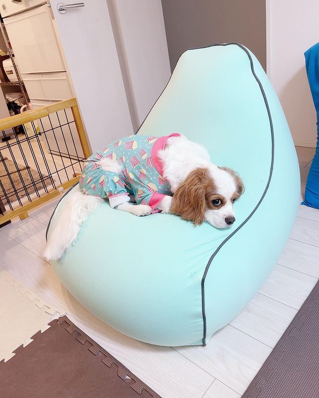 Yogibo Lounger ヨギボー ラウンジャー ビーズソファ Yogibo 公式