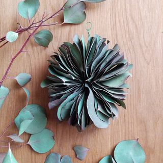 手づくりリースキット ユーカリポポラス ミルフィーユ 商品ページ 土と風の植物園