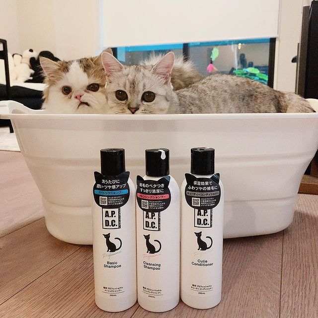 猫用 プロフェッショナル キューティコンディショナー 250mL｜たかくらとくらす｜Takakura Official online store