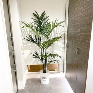 光触媒観葉植物とフェイクグリーンの 造花ドットコム