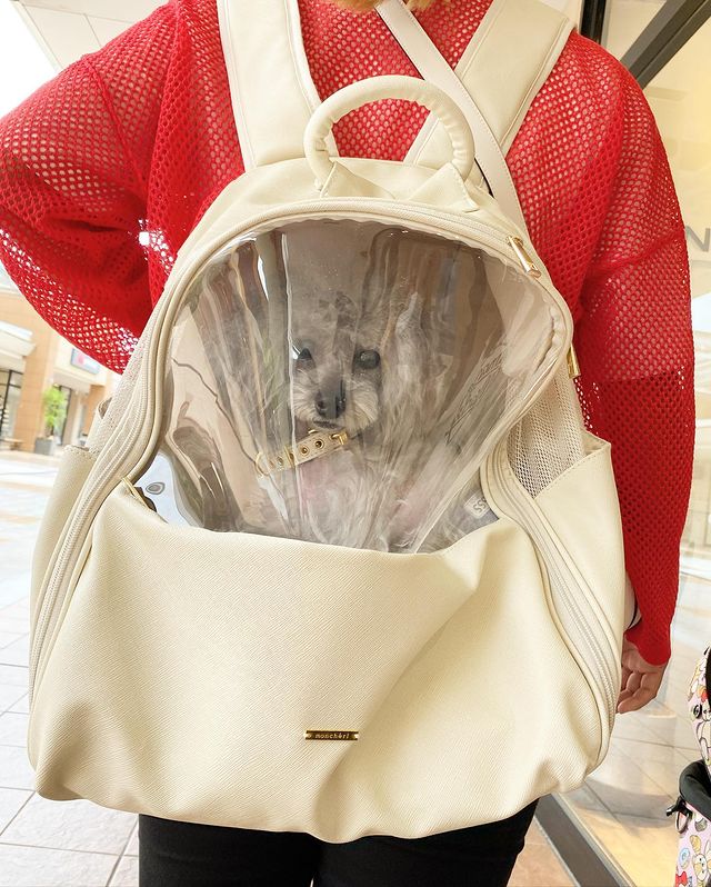 驚きの安さ moncheri モンシェリ クリア小窓バッグパック 犬用品