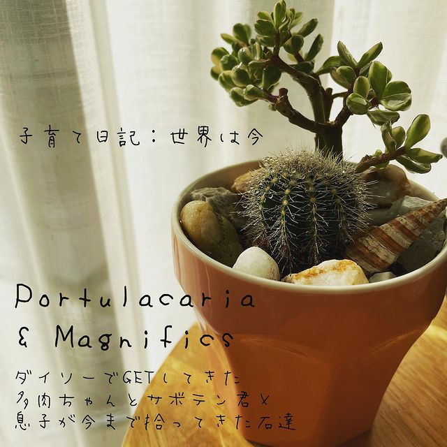 かるい観葉植物の土 ３ｌ 公式 Daiso ダイソー ネットストア