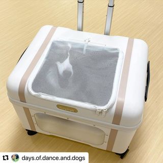 Photo by allforwan_shop_official