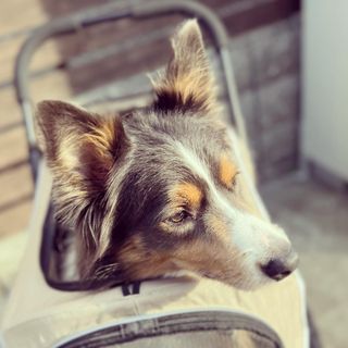 Photo by _marquisbc_