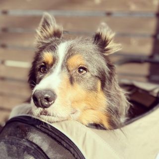 Photo by _marquisbc_