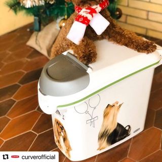 Photo by allforwan_shop_official
